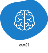 pamet